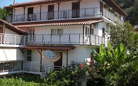 Lemon House